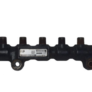 RAMPA INYECTORA PEUGEOT 1.4 /1.6 HDI 2006 RI084