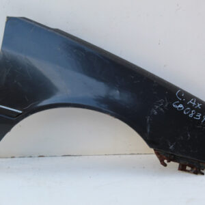 GUARDABARRO CITROEN AX DELANTERO DERECHO GD441