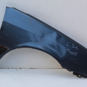 GUARDABARRO CITROEN AX DELANTERO DERECHO GD447
