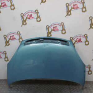 Capot Citroen Xsara Picasso celeste 1999 al 2005 CAP0255