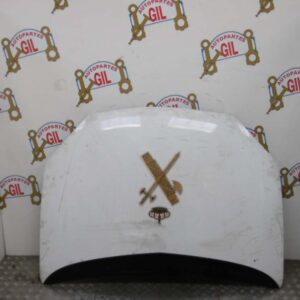 Capot Citroen C5 blanco 2001 al 2007 CAP0299