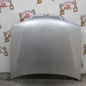 Capot Citroen Xantia gris 1997 al 2001 (con detalle) CAP0308