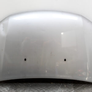 Capot Renault Sandero Gris 2018 CAP-813