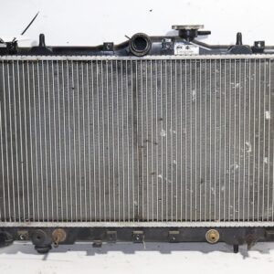 Radiador Hyundai Accent Nafta / RDS-029