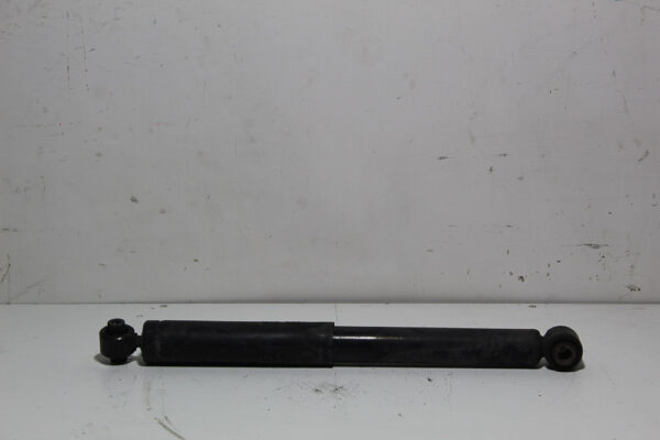Amortiguador delantero Citroen C3 AMN098