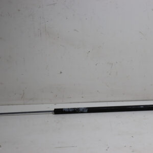 Amortiguador de porton Citroen Berlingo APN-014