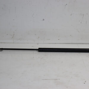 Amortiguador de porton Fiat Brava APN-021