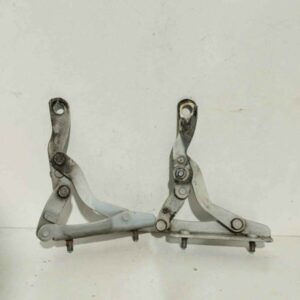 BISAGRA PORTON RENAULT LAGUNA (B56) [1998-2001]