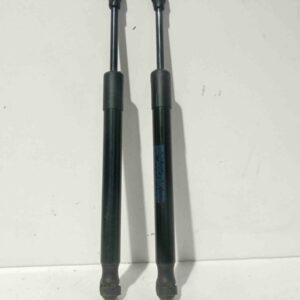 AMORTIGUADORES MALETERO / PORTON VOLKSWAGEN JETTA (1K2) [2005-2010]