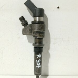 INYECTOR PEUGEOT 307 BREAK / SW (S1) SW DIESEL Motor 2,0 Ltr.  107 CV  [2002 - 2005] 5 Puertas