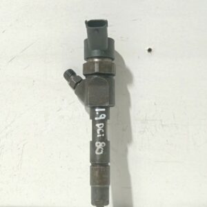 INYECTOR RENAULT SCENIC II Expression DIESEL Motor 1,5 Ltr.  106 CV  [2003 - 2009] 5 Puertas