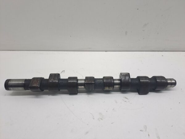 ARBOL DE LEVAS FIAT PALIO WEEKEND (178) TD 70 DIESEL Motor 1,7 Ltr.  69 CV  [1997 - 2002] 5 Puertas