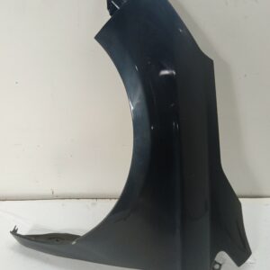 GUARDABARRO DELANTERO IZQUIERDO CITROEN C4 LIM. Business NAFTA 95 Motor 1,6 Ltr.  120 CV  [2010 - 2018] 5 Puertas