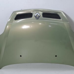 ESPOLON RENAULT SCENIC (JA..) 1.9 dCi Authentique DIESEL Motor 1,9 Ltr.  80 CV  [1999 - 2003] 5 Puertas