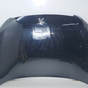 ESPOLON PEUGEOT 308 Access DIESEL Motor 1,6 Ltr.  116 CV  [2013 - 2021] 5 Puertas