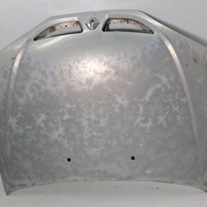 ESPOLON RENAULT MEGANE I CLASSIC (LA0) 1.4e RN NAFTA Motor 1,4 Ltr.  75 CV  [1996 - 2001] 4 Puertas