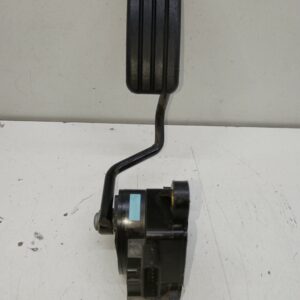 ACELERADOR ELECTRONICO RENAULT CLIO III Exception NAFTA Motor 1,2 Ltr.  75 CV  [2005 - 2016] 5 Puertas