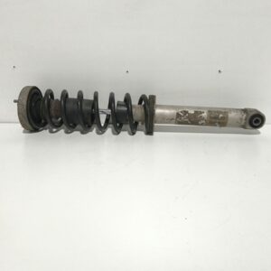 Amortiguador Trasero Der/Izq BMW Serie 5 Berlina (E39) 1995-2003 530d 3.0L 142kW 33394991
