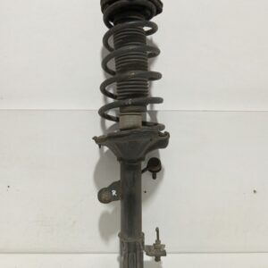 Amortiguador Trasero Derecho Hyundai Elantra (XD) 2000-2008 * 5536129053