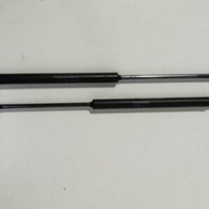 Amortiguadores Maletero / Porton Fiat Grande Punto (199) 2005-2012 0924WG