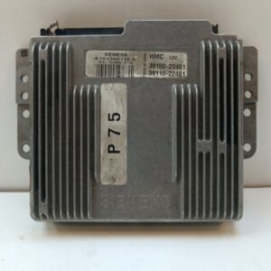 Centralita Motor Uce Hyundai Accent (X3) 1994-1997 1.3 CAT 1.3L 62kW K103300115A