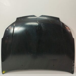 Espolon Citroën C5 Berlina 2001-2004 FAP CAT (4HX / DW12ED4)