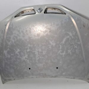 Espolon Renault Megane I Classic (LA0) 1996-2001 RN