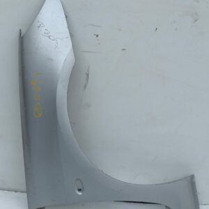 Guardabarro Delantero Derecho Peugeot 307 (S1) 2001-2005 XR