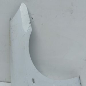 Guardabarro Delantero Derecho Peugeot 307 (S1) 2001-2005 XR