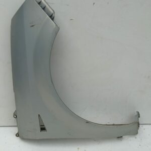 Guardabarro Delantero Derecho Renault Scenic Ii 2003-2009 Confort Dynamique
