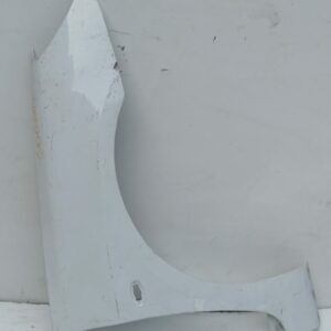 Guardabarro Delantero Izquierdo Peugeot 307 (S1) 2001-2005 XR