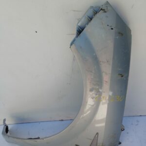 Guardabarro Delantero Izquierdo Renault Scenic Ii 2003-2009 Diesel