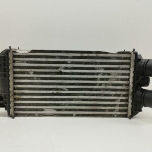 Radiador Intercooler Peugeot 208 2012-2019 Active 1.6L 68kW 9824742280